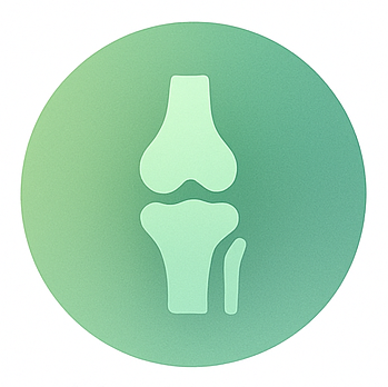 Sklepi, kosti, hrustanec